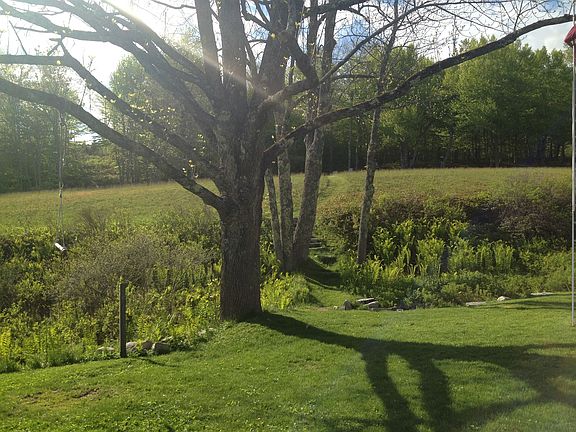 Backyard (Blue Hill Mountain)