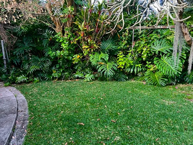 Manoa Rd — Photo 22