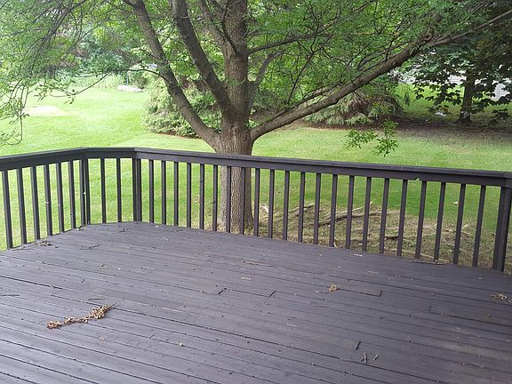 Deck and Backyard
