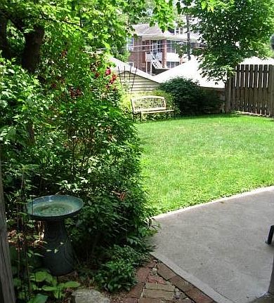 Yard