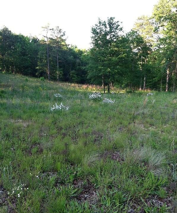 2nd image of 5945 Lexington Rd