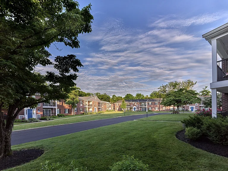Lush open green space for you to enjoy