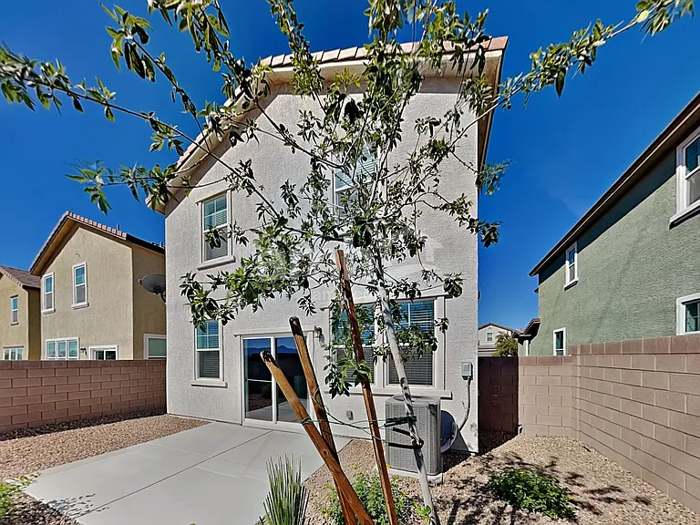 8152 Inhibition Ct — Photo 19