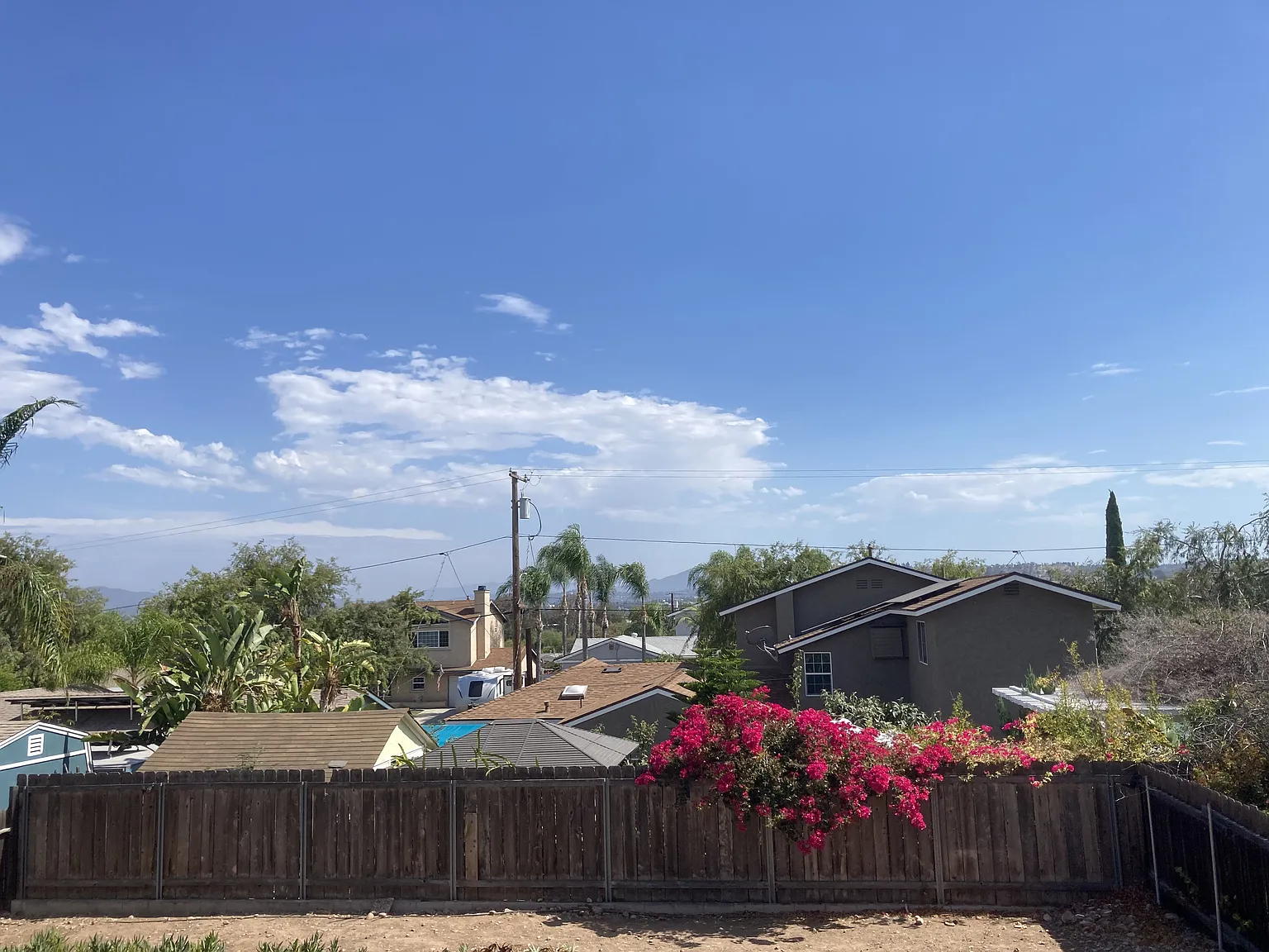 3 bed, 950 sqft, $3,200 — Photo 4