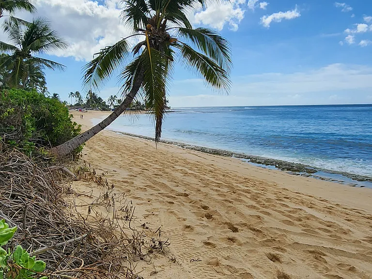 Beach to the left with private beach access/gate.