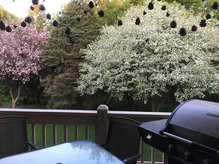 Outdoor of deck/balcony in the spring