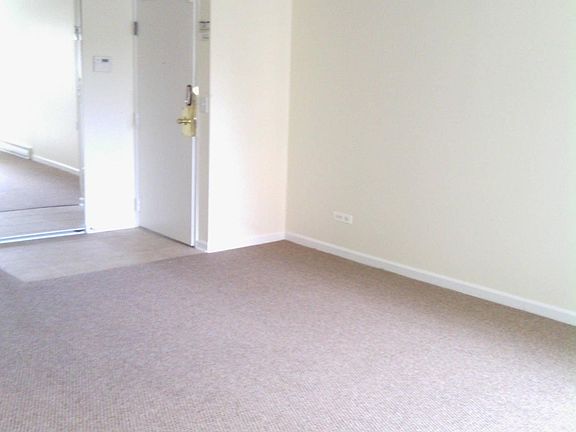 4th image of 310 Lathrop Ave APT 311
