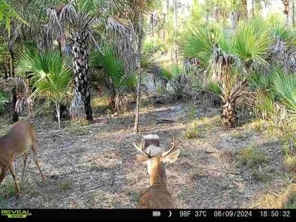 Benton Rd, Naples, FL 34117