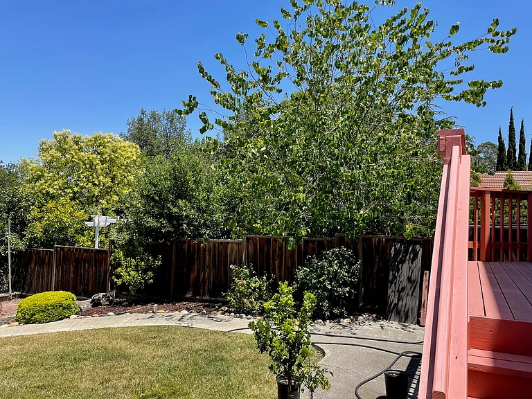 2885 Alice Ct — Photo 24