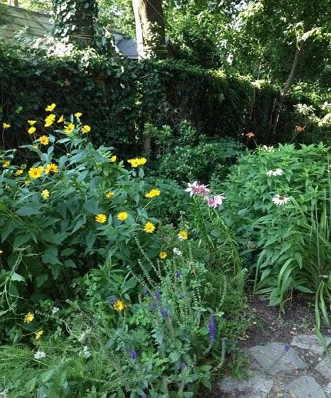 361 Hamilton St — Photo 12