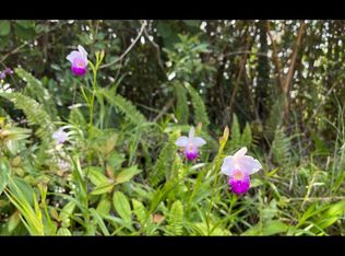 Amau Rd LOT 96, Keaau, HI 96749