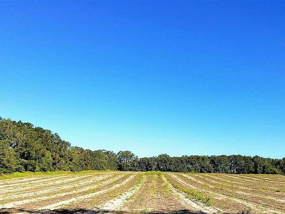 2nd image of 10416 NW County Road 235