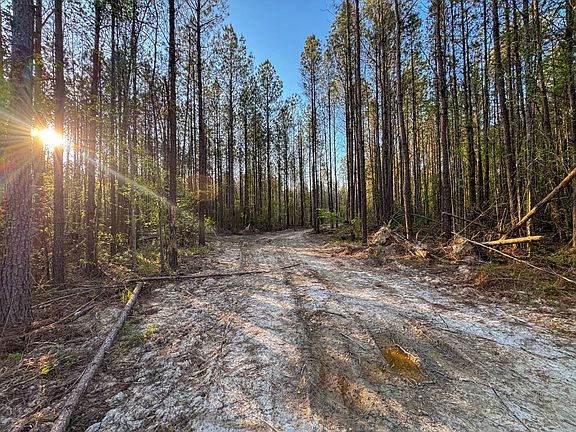 4th image of 0 Sand Hill Rd