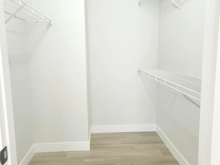 Walk in Closet in master bedroom