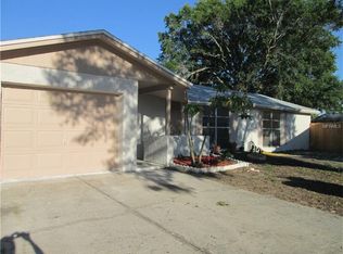 10102 Wheatley Hills Ct, Tampa, FL 33615
