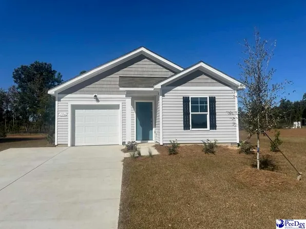 196 Country Grove Way, Galivants Ferry, SC 29544