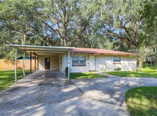 3036 County Road 418, Lake Panasoffkee, FL 33538
