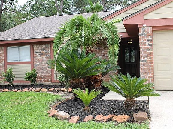 3rd image of 14803 Cypress Meadow Dr