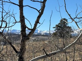 29 Strelets Way, Como, CO 80456