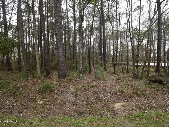 916 Bee Tree Ct Lot 187, New Bern, NC 28560