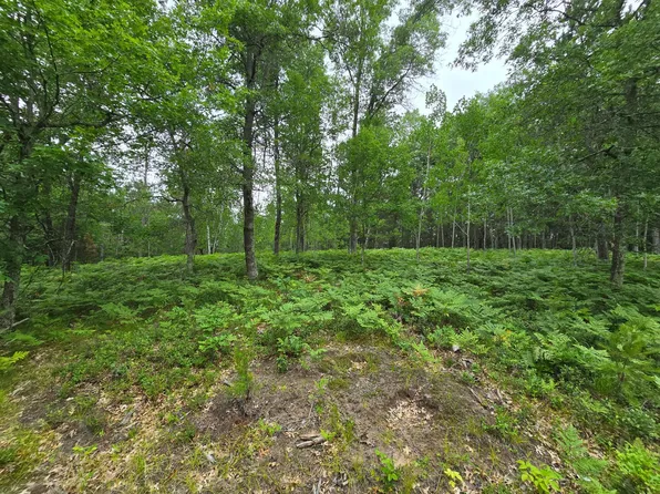 LOT Saylors Ln #A, Siren, WI 54872
