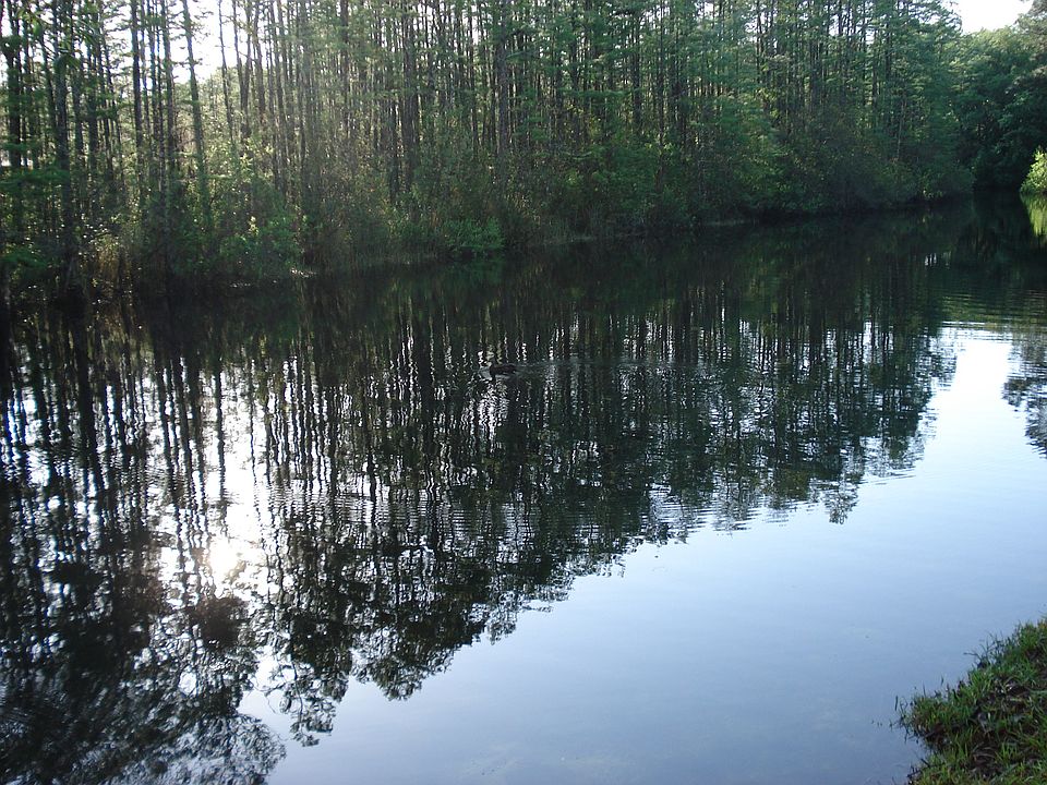 2nd image of 11 Summer Trees Rd