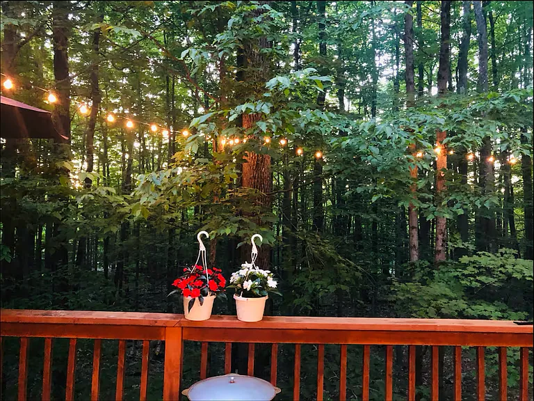 3550 Dogwood Ct — Photo 43