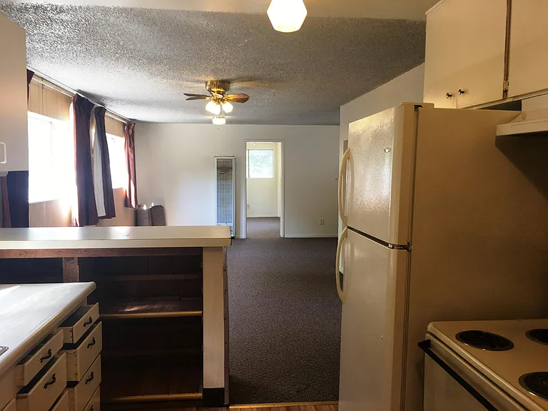 920 Olive St — Photo 3