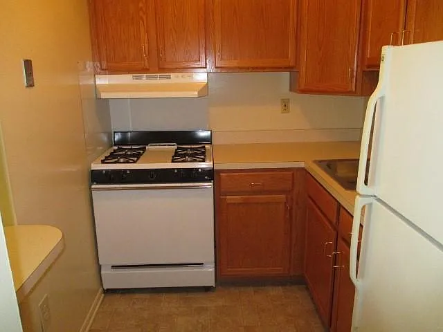 8 Welsh Dr — Photo 24