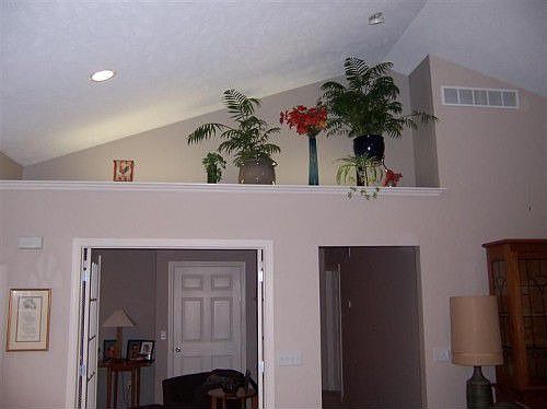 2nd image of 8221 Pattiwood Ln
