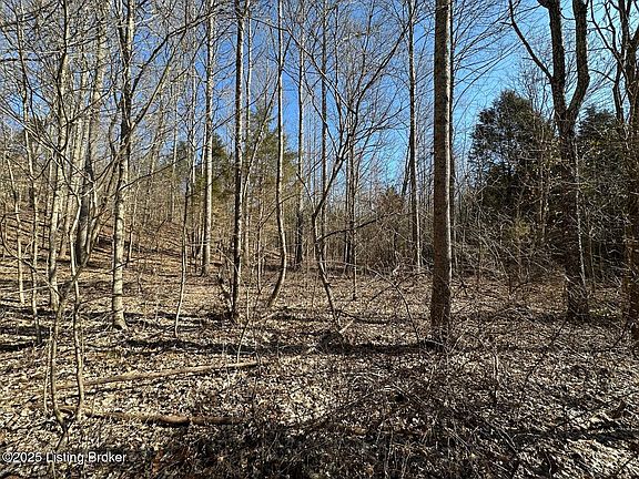 5th image of 15 Duvall Rd