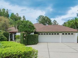 4219 Carrollwood Village Dr, Tampa, FL 33618