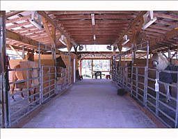 3rd image of 2310 Deer Run Blvd
