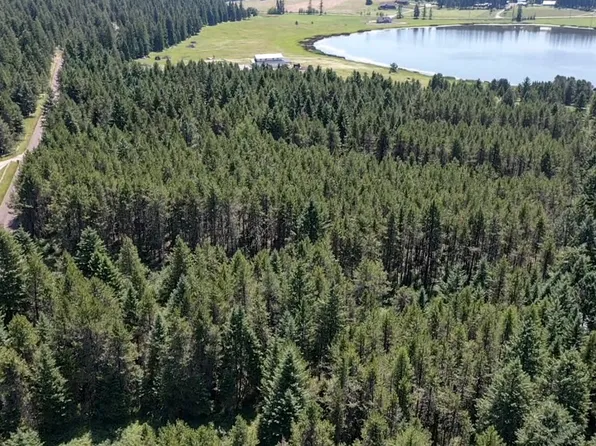 80 Wagon Wheel Rd, Whitefish, MT 59937