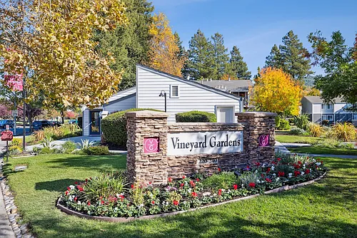 Vineyard Gardens Photo 1