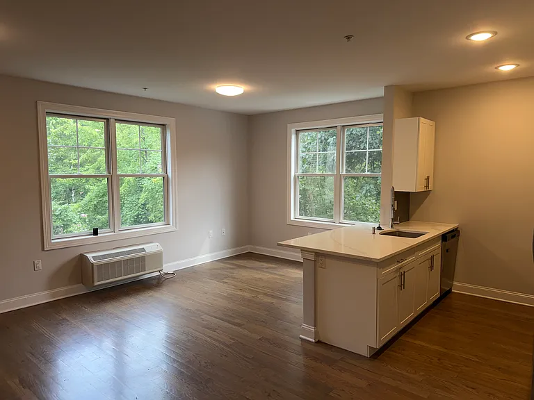 40 Park Ave #208 — Photo 4