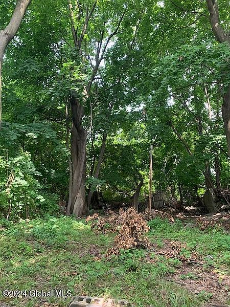 4th image of 219 1st Street