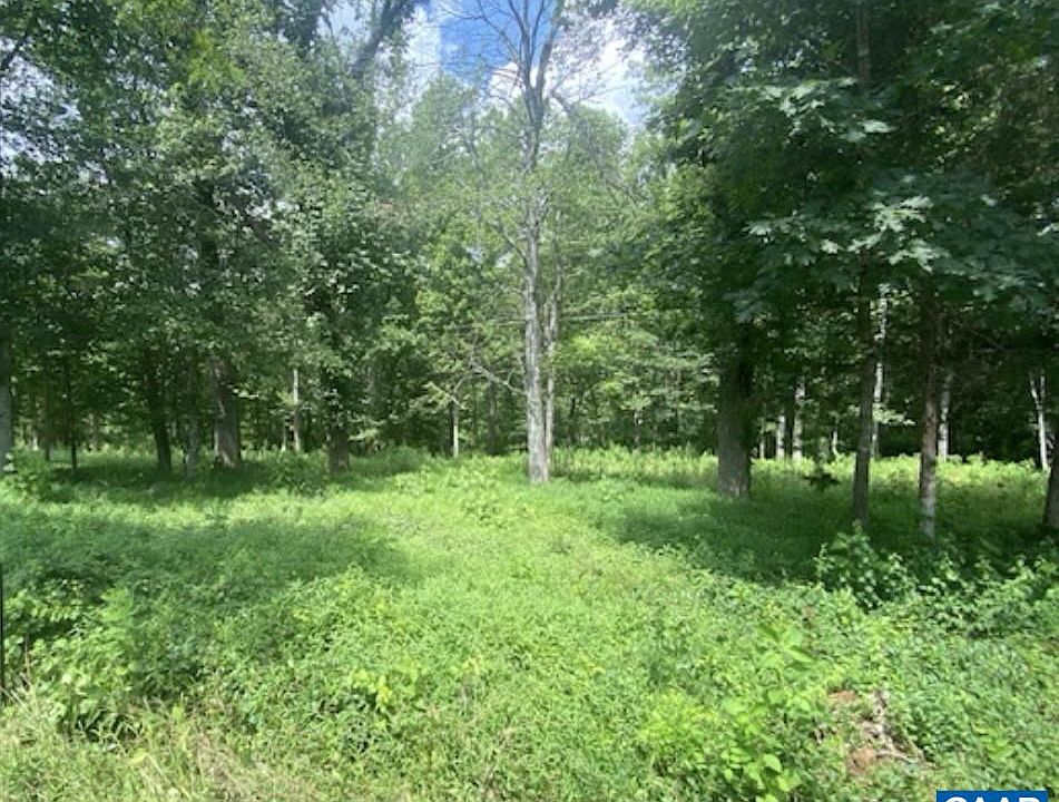 2nd image of 0 Old Lynchburg Rd