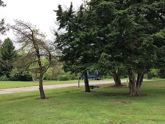 Left front of yard