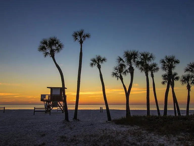 Window View