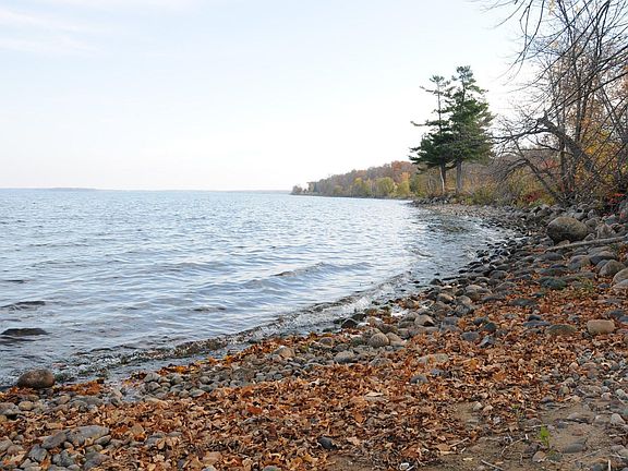 Looking south along shoreline