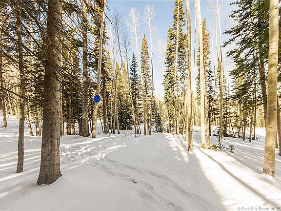 2nd image of 192 White Pine Canyon Rd #192