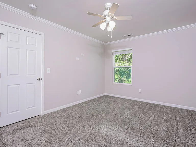 217 Switchback St — Photo 15