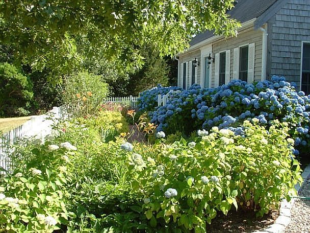 Entranceway Garden