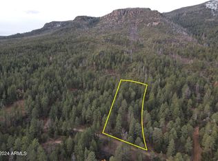LOT 14/13 N Jack Mount Loop Rd #14, Young, AZ 85554