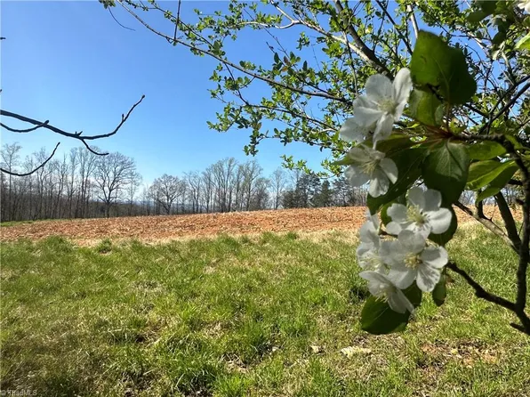 State Highway 8 N, Lawsonville, NC 27022