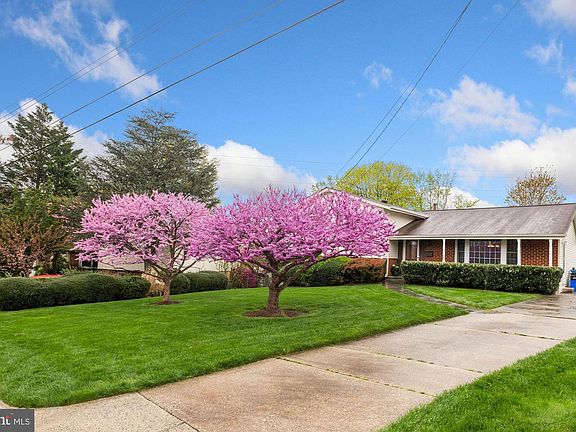 2nd image of 11615 Greenlane Dr