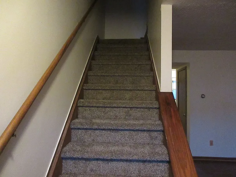 203 Palmer Dr — Photo 5