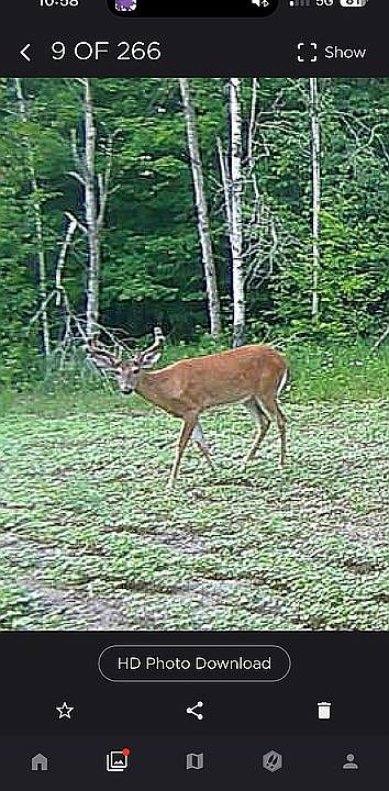 1st image of 23 Mile Rd