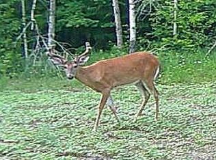 23 Mile Rd, Tustin, MI 49688
